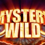 Mammoth Kingdom Mystery Wild screen